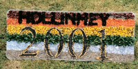 Additional Well Dressing