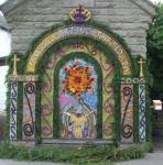 Village Well