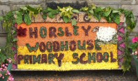 Primary School Well Dressing (2)