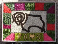 Minors Members & Leaders Well Dressing