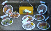 Additional Dressings near Community Pre-School Well Dressing