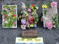 Additional Dressings near Personality Well Dressing