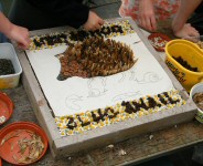 Small Well Dressing (3)