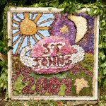 Ash Brook Well Dressing (2)