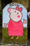 Pre-school Playgroup Well Dressing