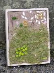 Additional Well Dressing