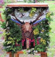 Unidentified Well Dressing (1)