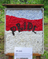 PRIDE Well Dressing