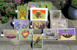Additional Well Dressings