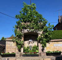 Village Fountain
