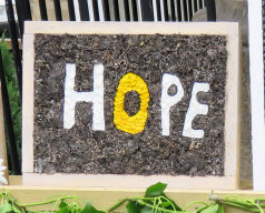 Fountain Well Dressing (15)
