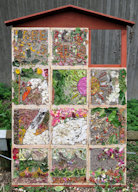 Visitor Centre Well Dressing
