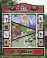 Adult Well Dressing