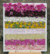 Children&rsquo;s Well Dressing