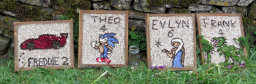 Additional Well Dressings