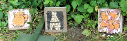 Additional Well Dressings