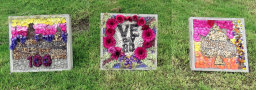 Moor First School Well Dressings