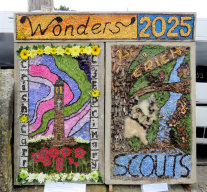 Market Place Well Dressings (3&ndash;4)