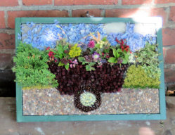 Additional Well Dressing