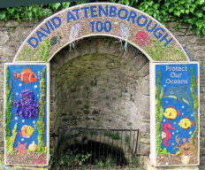 Children&rsquo;s Well