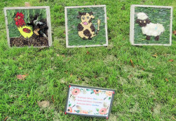 Chapel Green Well Dressings