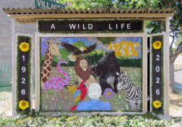 The Small Well Dressing