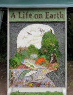 Whispering Well Dressing