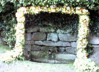 Trough Well