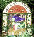 Village Well