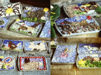 Additional Well Dressings