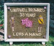 Additional Well Dressing